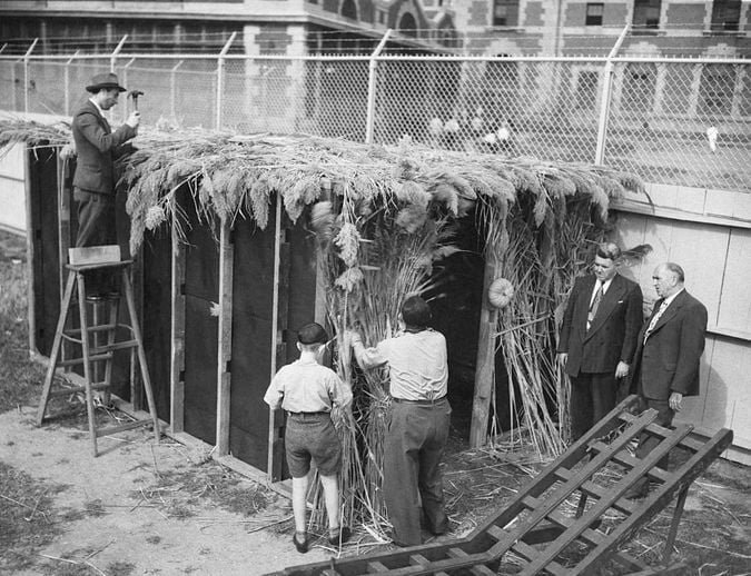 1948 sukkah ellis island 1570129547