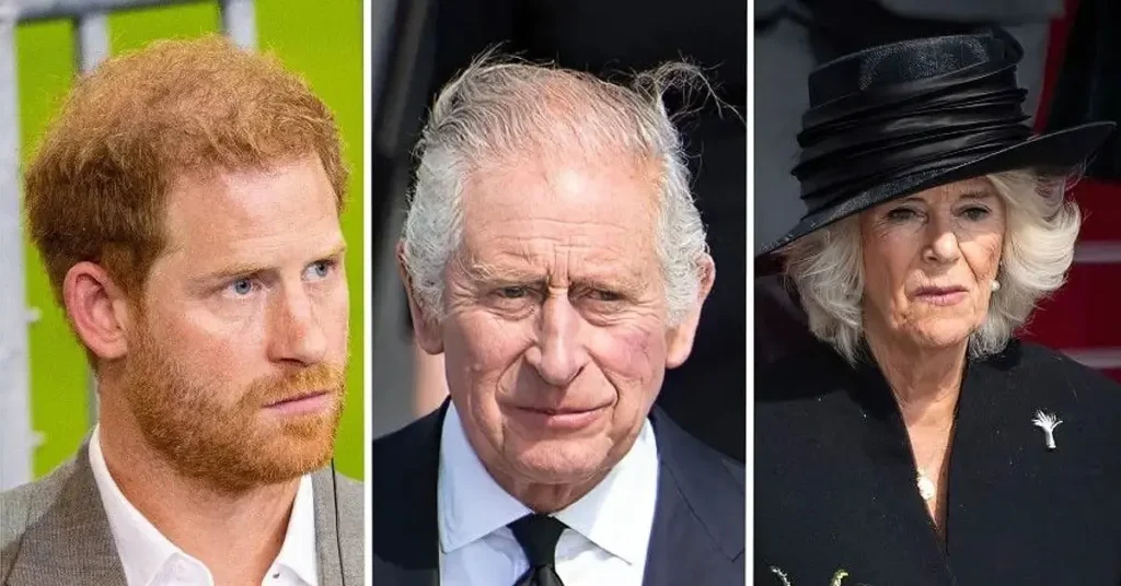 king charles will never get past prince harry berating queen camilla in spare source pp 1715895051735