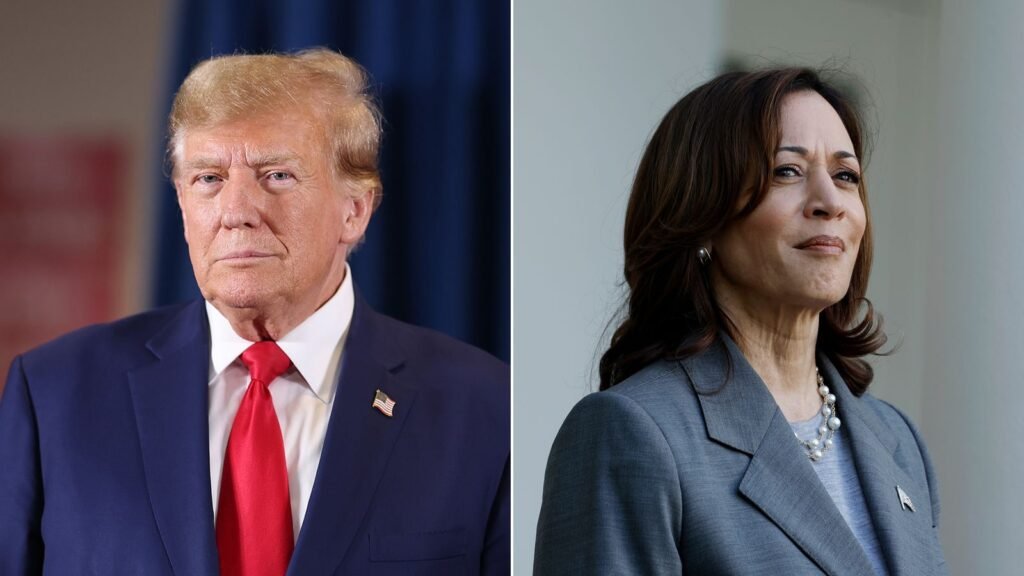 Common Sense: Trump's Secret Weapon Against Harris?